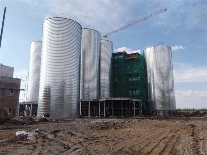 1612513886767597.jpg 1612513886767597.jpg